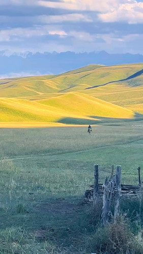 OkADqI zL Giy4KW.jpg