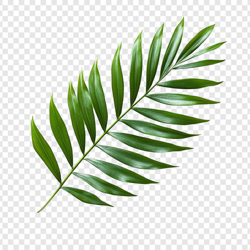 8b7386d9 5c88 41af 8f75 f4146ee5ad29.jpg