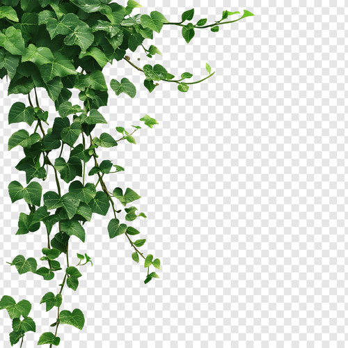 11c9c9f9 3185 4e41 bbd4 487a790c2609.jpg