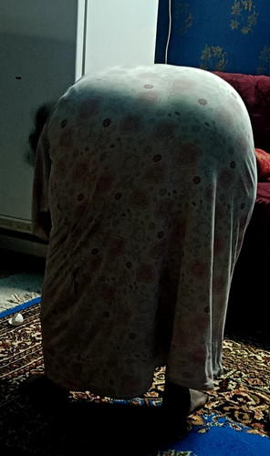 IMG ٢٠٢٥٠٨١٥ ١١٢٦٣٧.jpg