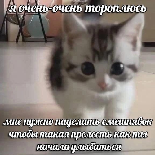 GlgNgCJQ1UUdhdcwNaV 4VOdl6i9cLXdPuaigxOfL4QUZH4V59Bq9gP2DsKVwWz7XhWOBvJXRWsDiiLnD MnOt1j.png