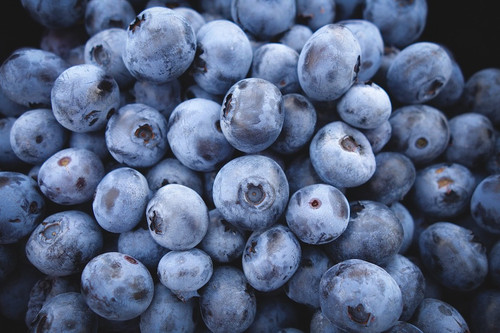 06 BLUEBERRIES.jpg