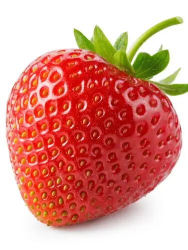 04 STRAWBERRY.webp