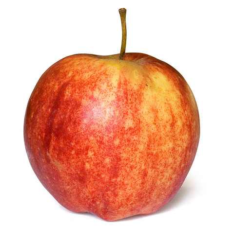 01 APPLE.jpg
