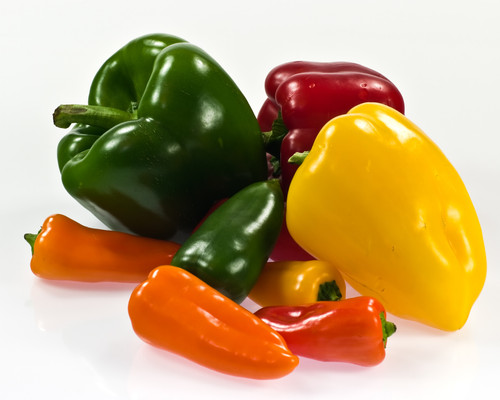 07 CAPSICUM.jpg