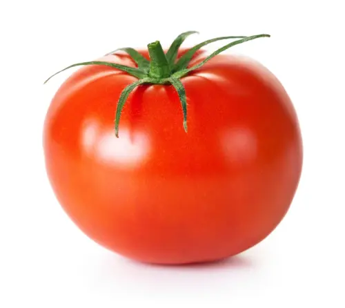 05 TOMATO.webp