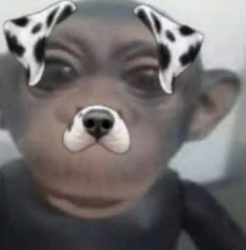 26359.jpg