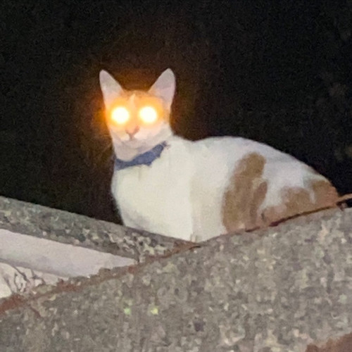 EvilF166.jpg