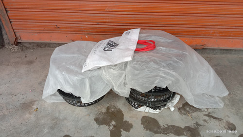 IMG 20250813 084254.jpg