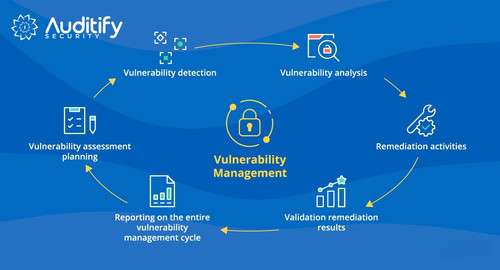 Comprehensive Vulnerability Management Lifecycle – Auditify Security.jpg