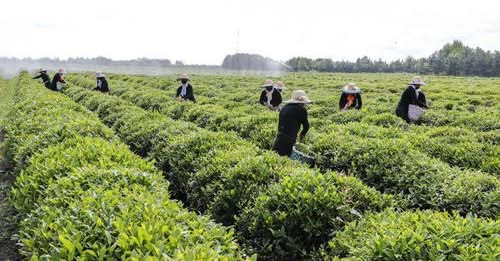 8226675291990402794?url=https%3A%2F%2Fbanker.az%2Fwp content%2Fuploads%2F2025%2F08%2Fphoto 132302.jp.jpg