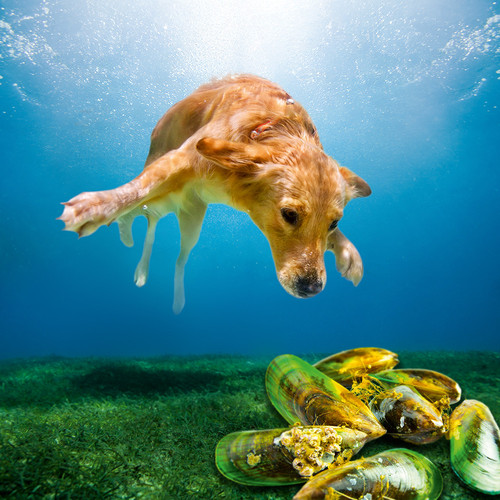 PP250276 BI CAN Canosan Keyvisual 1000x1000 K1.jpg