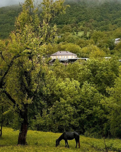 mTQUGo i8f61Pr QWpSfyyx3p6R6G2J1u2nvGSIpgn3WyphcXCjVMqRt5ZbBCLGOnRZuVrWWWIhtuxOsRxiuFRn2sqP55PQ1ARak.jpg