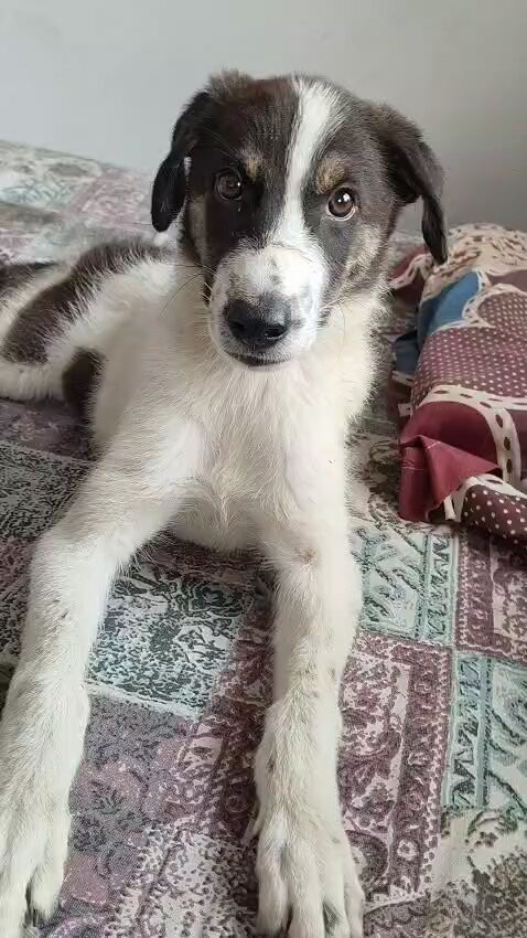 gQ RmYU1G0nJBdHr.jpg