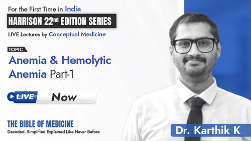 WhatsApp Image 2025 08 14 at 5.27.44 PM.jpg