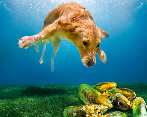 PP250276 BI CAN Canosan Keyvisual 1000x1000 K1.jpg