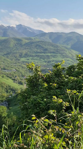 Sg fJW8G0U4OAX8Z.jpg