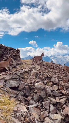 IKCzqBjLInSpwB h.jpg