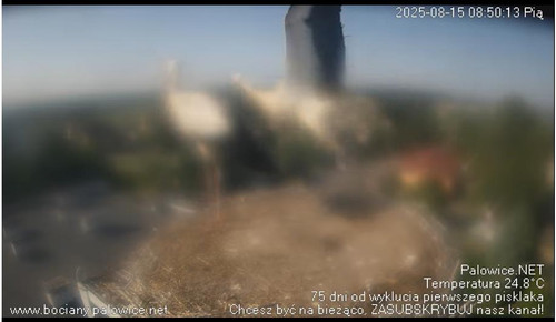 MWSnap972.jpg