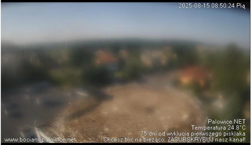 MWSnap973.jpg