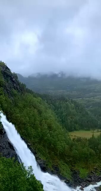 Twdap3X k8KbwIfL.jpg