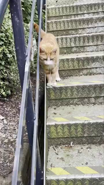 FPE8 1WoA09F4wRy.jpg