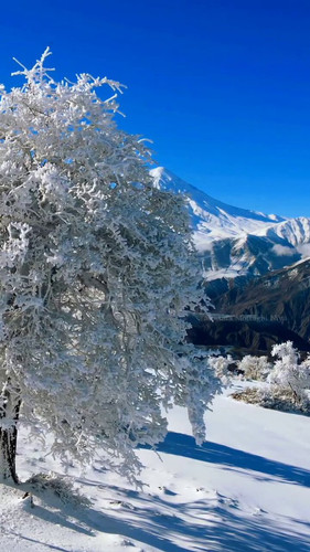 zpYljAFSfXy PTRU.jpg