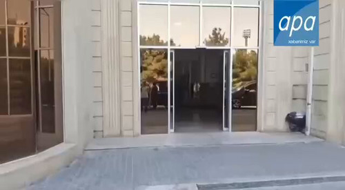 3MKvulpeXuZ2 g7h.jpg