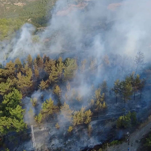 BXlq1fcL3b 3Zy9Q.jpg