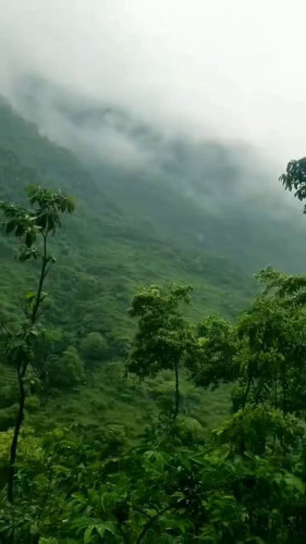 N1G1Lx17Jgr sIl3.jpg