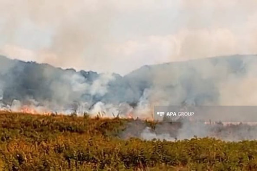 532126125 1338846441582864 1400255426843736504 n.jpg?stp=dst jpg p526x395 tt6& nc cat=105&ccb=1 7& n.jpg