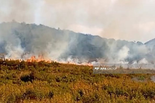 531425490 1338846444916197 7734946495609703762 n.jpg?stp=dst jpg p526x395 tt6& nc cat=106&ccb=1 7& n.jpg