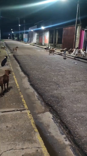 ycq2qwgLsR Y8Hi0.jpg