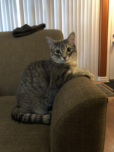 530361708 122141241458693221 9016198099188352177 n.jpg