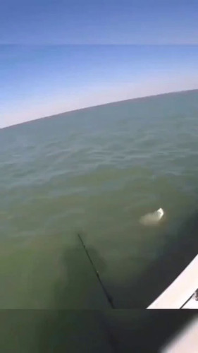 g0Me QTxHuboEUkg.jpg