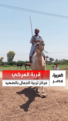 apQ BbiONO5UEGGf.jpg