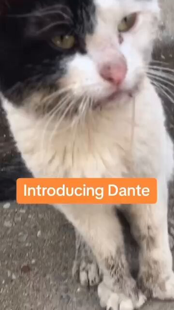 uVfBs94OYyZ XTQf.jpg