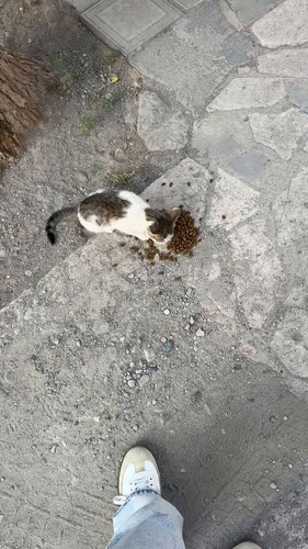 josfJ pSQyENtTpy.jpg