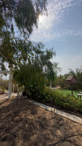 Ln 6yuoELxKDiwz1.jpg