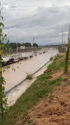 JljOY88J VCwtGS9.jpg