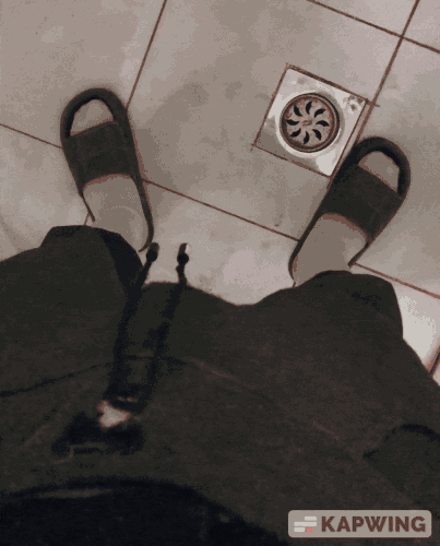 IMG 0683 V1.gif