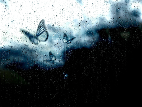 OplusInfoCollection 250815085329410.png