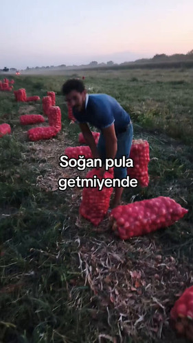 0ww1t3nkRb0wJ7QU.jpg