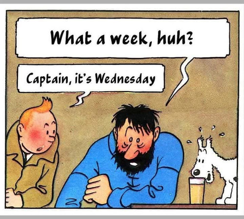 Tintin IMG 5007.jpg