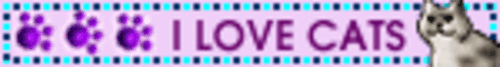 IMG 2662.gif