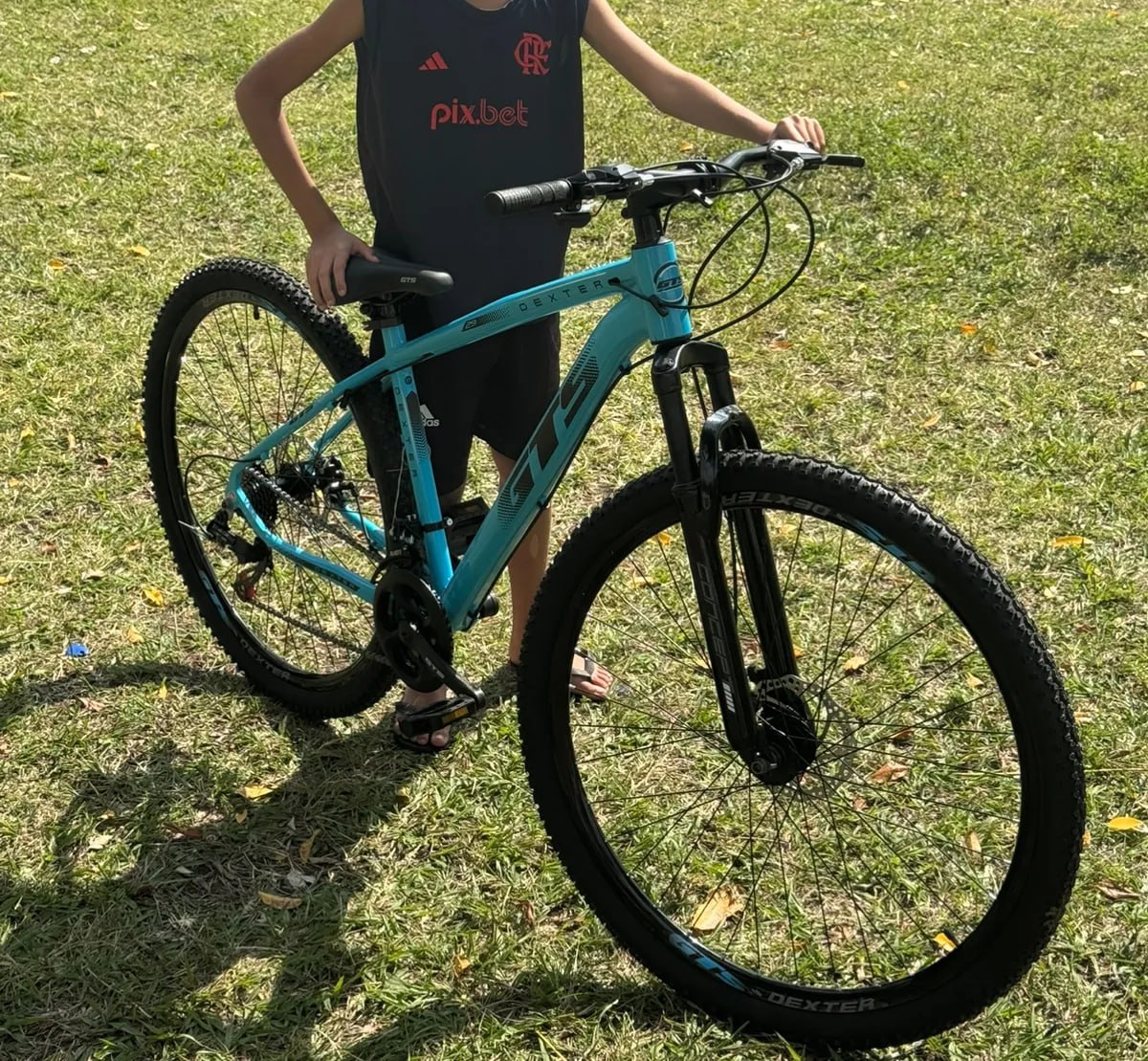 Bicicleta Aro 29 Gts Dexter 24 Marchas Freio A Disco Cor Azul Pantone com Preto Tamanho do Quadro 15
