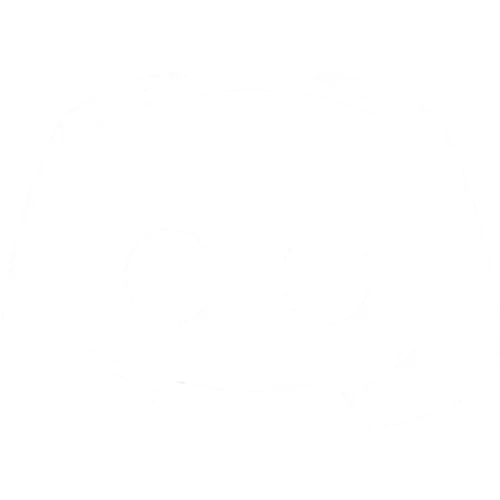 discord white icon.webp