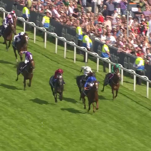 Syetb jqFP7esP6L.jpg