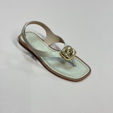 WhatsApp Image 2025 08 14 at 17.20.01