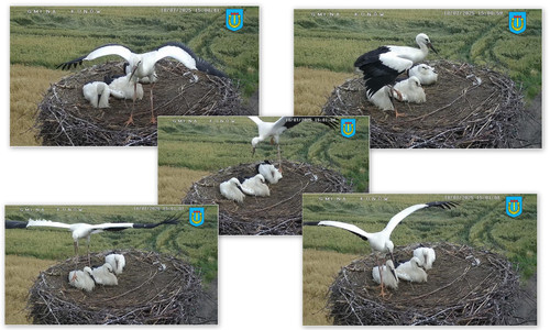 Bilder2.jpg